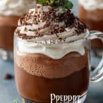 Peppermint Mocha Mousse